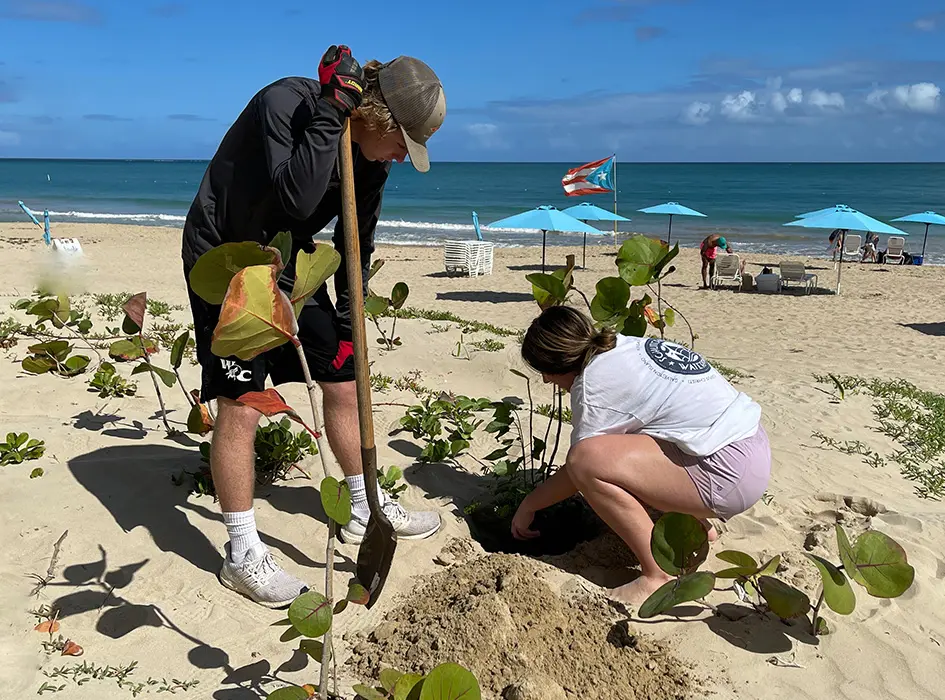 New Environmental Initiative Targets Coastal Conservation in Puerto Rico
